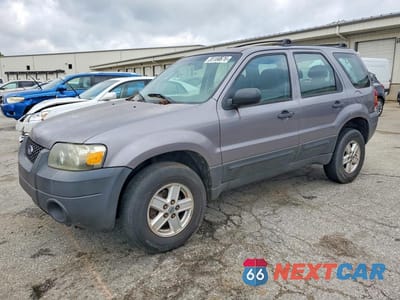 2007 FORD ESCAPE XLS 1FMYU02Z47KA13069 - główne zdjęcie licytacji z USA - miniatura
