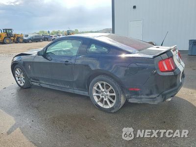 Drugie zdjęcie samochodu z przodu: 2011 FORD MUSTANG VIN:1ZVBP8AM1B5169578 - miniatura