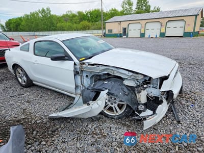 Czwarte zdjęcie samochodu z boku: 2014 FORD MUSTANG VIN:1ZVBP8AM8E5325703 - miniatura