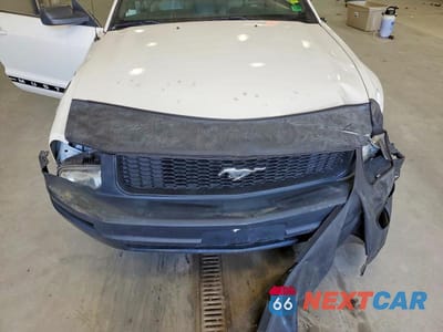 Zdjęcie 11 z 12 samochodu: 2005 FORD MUSTANG VIN:1ZVFT84N755214674 - miniatura