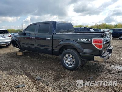 Drugie zdjęcie samochodu z przodu: 2010 FORD F150 SUPERCREW VIN:1FTFW1EV8AFA61971 - miniatura
