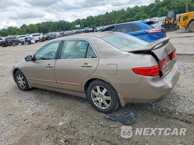 Drugie zdjęcie samochodu z przodu: 2005 HONDA ACCORD EX VIN:1HGCM66525A042597 - miniatura