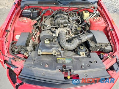 Zdjęcie 11 z 12 samochodu: 2005 FORD MUSTANG VIN:1ZVFT80N655119416 - miniatura