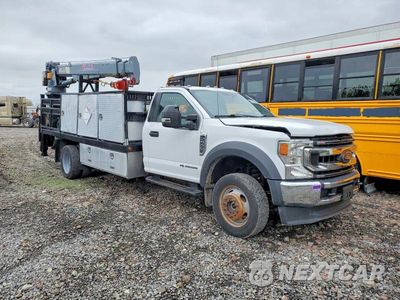 2020 FORD F550 SUPER DUTY 1FDUF5HT6LDA08978 - główne zdjęcie licytacji z USA - miniatura