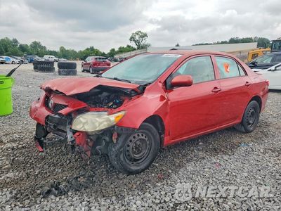 2010 TOYOTA COROLLA LE 1NXBU4EE1AZ215787 - główne zdjęcie licytacji z USA - miniatura