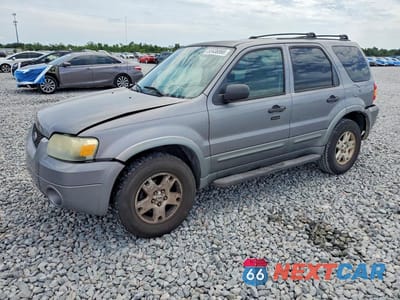 2007 FORD ESCAPE XLT 1FMYU03117KB68641 - główne zdjęcie licytacji z USA - miniatura