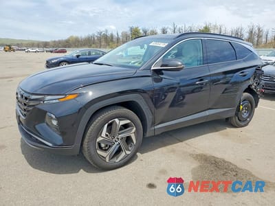 2024 HYUNDAI TUCSON LIMITED 5NMJECDE6RH396607 - główne zdjęcie licytacji z USA - miniatura