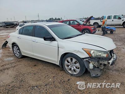 Czwarte zdjęcie samochodu z boku: 2009 HONDA ACCORD EXL VIN:1HGCP36809A031183 - miniatura
