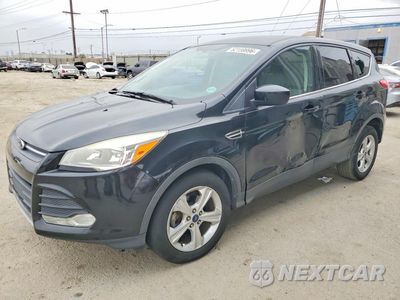 2014 FORD ESCAPE SE 1FMCU0GX4EUC56853 - główne zdjęcie licytacji z USA - miniatura