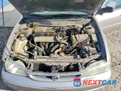 Zdjęcie 11 z 12 samochodu: 1999 TOYOTA COROLLA VE VIN:1NXBR12E6XZ242979 - miniatura