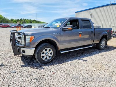 2013 FORD F150 SUPERCREW 1FTFW1EF4DFC59525 - główne zdjęcie licytacji z USA - miniatura