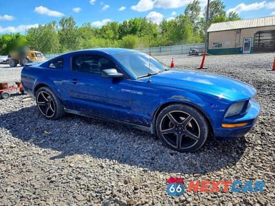 Czwarte zdjęcie samochodu z boku: 2008 FORD MUSTANG VIN:1ZVHT80NX85191071 - miniatura
