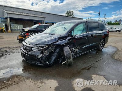 2025 HONDA ODYSSEY EXL 5FNRL6H60SB005830 - główne zdjęcie licytacji z USA - miniatura