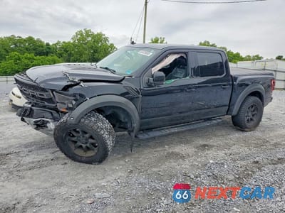 2020 FORD F150 RAPTOR 1FTFW1RG9LFC06143 - główne zdjęcie licytacji z USA - miniatura