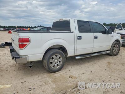 Trzecie zdjęcie samochodu z tyłu: 2009 FORD F150 SUPERCREW VIN:1FTRW12839FA36659 - miniatura