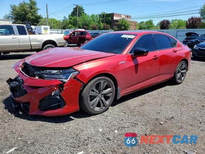2021 ACURA TLX TECH A 19UUB6F53MA802559 - główne zdjęcie licytacji z USA - miniatura