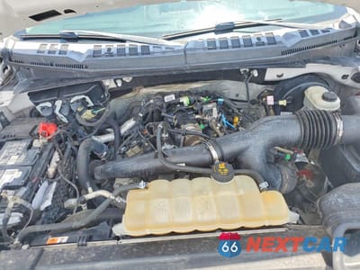 Zdjęcie 11 z 12 samochodu: 2019 FORD F150 SUPERCREW VIN:1FTEW1CP6KFA29747 - miniatura