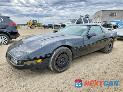 1991 CHEVROLET CORVETTE 1G1YY2389M5101399 - główne zdjęcie licytacji z USA - miniatura
