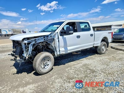 2019 FORD F250 SUPER DUTY 1FT7W2B60KEE67211 - główne zdjęcie licytacji z USA - miniatura