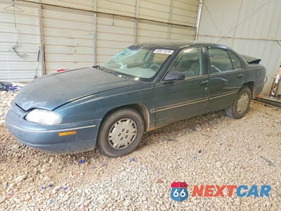 1996 CHEVROLET ALUMINA 2G1WL52M9T9123166 - główne zdjęcie licytacji z USA - miniatura