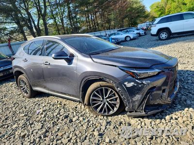 Czwarte zdjęcie samochodu z boku: 2024 LEXUS NX 350 PREMIUM VIN:2T2GGCEZ3RC048108 - miniatura