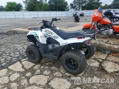 Trzecie zdjęcie samochodu z tyłu: 2023 KAWASAKI BRUTE FORCE 300 ATV VIN:RGSWM22A7PBK33488 - miniatura