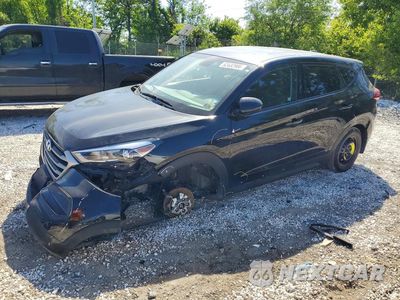2017 HYUNDAI TUCSON SE KM8J23A41HU382539 - główne zdjęcie licytacji z USA - miniatura