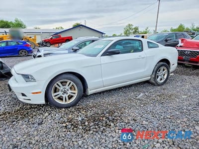 2014 FORD MUSTANG 1ZVBP8AM8E5325703 - główne zdjęcie licytacji z USA - miniatura