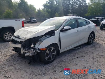 2019 HONDA CIVIC LX 2HGFC2F67KH559490 - główne zdjęcie licytacji z USA - miniatura