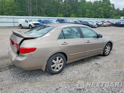 Trzecie zdjęcie samochodu z tyłu: 2005 HONDA ACCORD EX VIN:1HGCM66525A042597 - miniatura