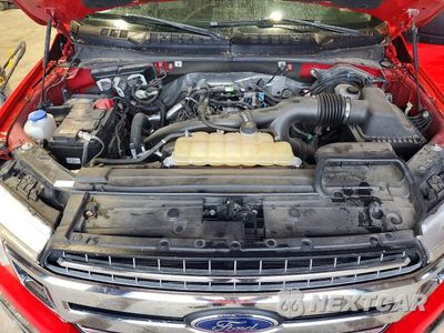 Zdjęcie 11 z 12 samochodu: 2020 FORD F150 SUPERCREW VIN:1FTEW1EP7LKD05570 - miniatura