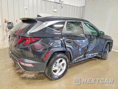 Trzecie zdjęcie samochodu z tyłu: 2024 HYUNDAI TUCSON SEL VIN:5NMJBCDEXRH344535 - miniatura