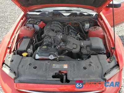 Zdjęcie 11 z 12 samochodu: 2013 FORD MUSTANG VIN:1ZVBP8AM0D5281372 - miniatura