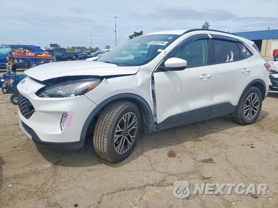 2020 FORD ESCAPE SEL 1FMCU9H60LUA53627 - główne zdjęcie licytacji z USA - miniatura