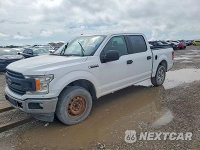 2019 FORD F150 SUPERCREW 1FTEW1CB0KKC27624 - główne zdjęcie licytacji z USA - miniatura