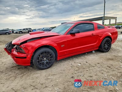 2007 FORD MUSTANG GT 1ZVHT82H275235487 - główne zdjęcie licytacji z USA - miniatura