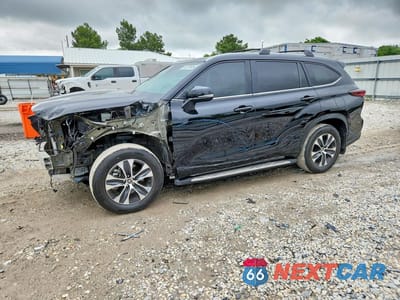 2024 TOYOTA HIGHLANDER XLE 5TDKDRBH9RS566902 - główne zdjęcie licytacji z USA - miniatura