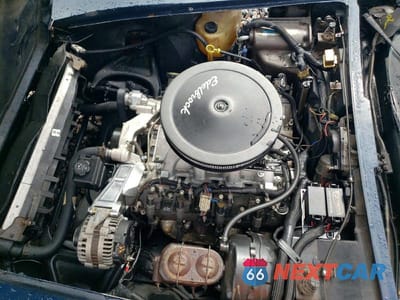 Zdjęcie 11 z 12 samochodu: 1981 CHEVROLET CORVETTE VIN:1G1AY8761B5104324 - miniatura