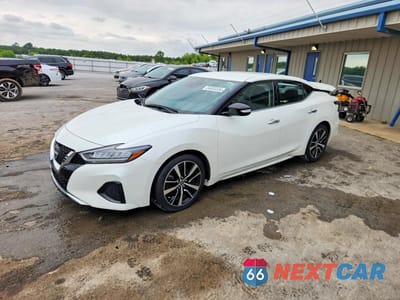 2023 NISSAN MAXIMA SV 1N4AA6CV9PC509112 - główne zdjęcie licytacji z USA - miniatura