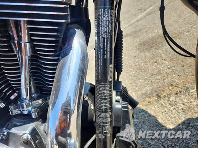 Zdjęcie 8 z 8 samochodu: 2014 HARLEY-DAVIDSON FXDL DYNA LOW RIDER VIN:1HD1GNM62EC332277 - miniatura