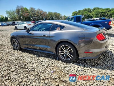 Drugie zdjęcie samochodu z przodu: 2017 FORD MUSTANG VIN:1FA6P8TH8H5295679 - miniatura