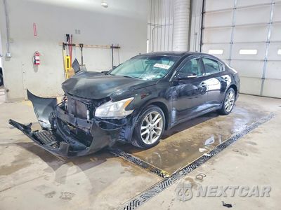 2011 NISSAN MAXIMA 3.5 S 1N4AA5AP2BC841500 - główne zdjęcie licytacji z USA - miniatura