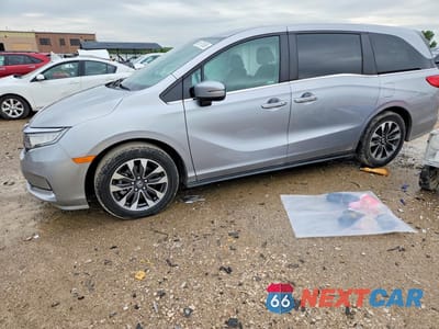 2024 HONDA ODYSSEY EXL 5FNRL6H67RB056025 - główne zdjęcie licytacji z USA - miniatura