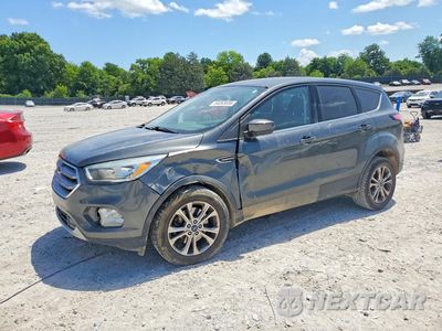 2017 FORD ESCAPE SE 1FMCU0G92HUB73363 - główne zdjęcie licytacji z USA - miniatura