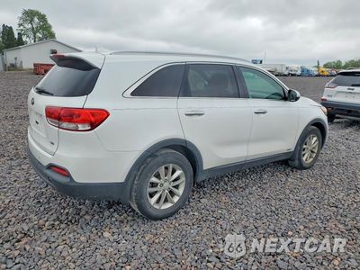 Trzecie zdjęcie samochodu z tyłu: 2016 KIA SORENTO LX VIN:5XYPGDA36GG108430 - miniatura