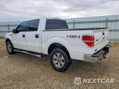 Drugie zdjęcie samochodu z przodu: 2011 FORD F150 SUPERCREW VIN:1FTFW1EF3BFD27780 - miniatura
