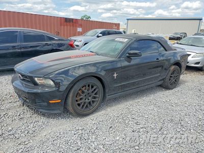 2012 FORD MUSTANG 1ZVBP8EM7C5244702 - główne zdjęcie licytacji z USA - miniatura