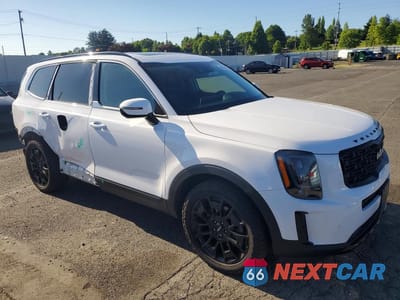 Czwarte zdjęcie samochodu z boku: 2022 KIA TELLURIDE SX VIN:5XYP5DHC6NG262824 - miniatura