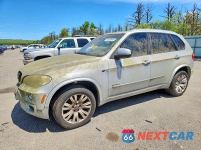 2009 BMW X5 5UXFE43579L273487 - główne zdjęcie licytacji z USA - miniatura