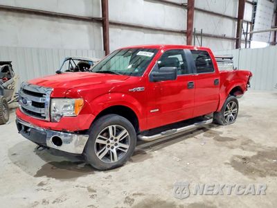 2013 FORD F150 SUPERCREW 1FTFW1ET0DFB38528 - główne zdjęcie licytacji z USA - miniatura